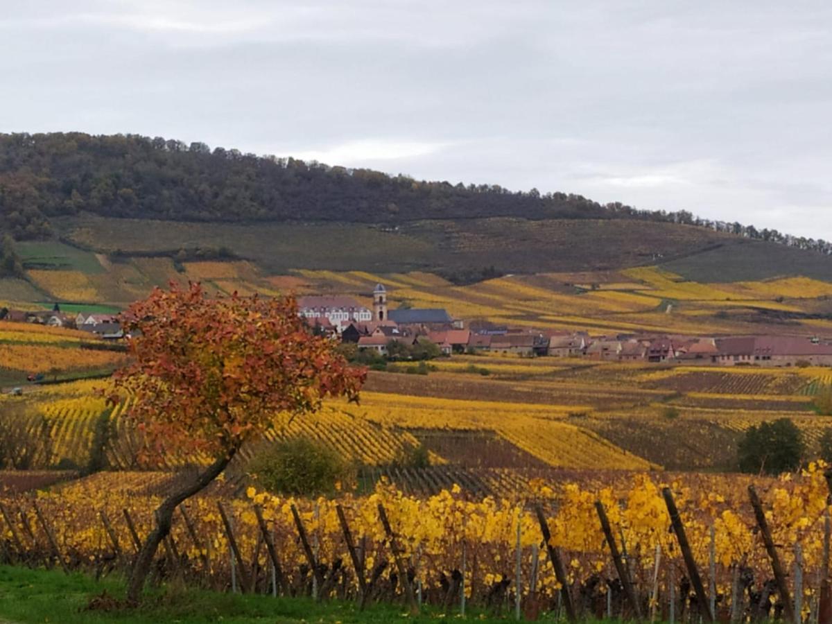Le Bubele Au Coeur Du Centre Medieval Et Vignoble รีโบวิลเล ภายนอก รูปภาพ